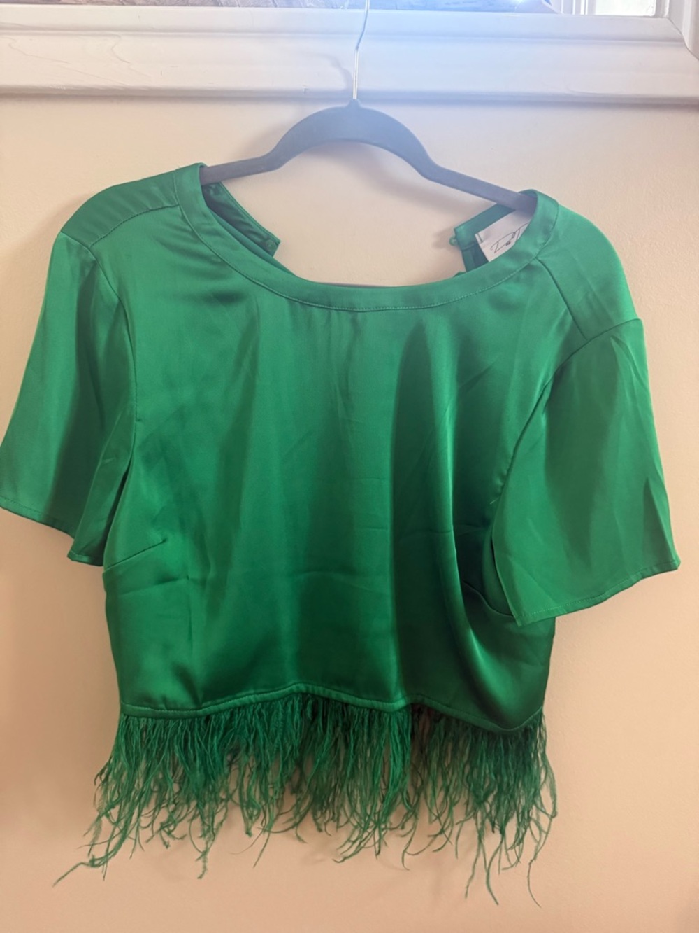 Green Feather Trim Satin Crop Top - Women